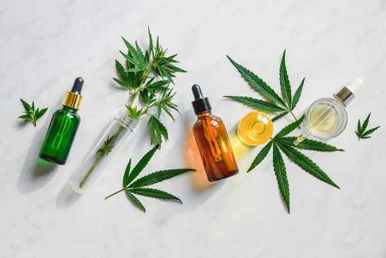 How Many Times a Day Can You Take CBD Oil