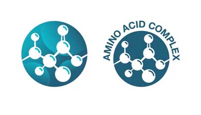 Enhances amino acid absorption