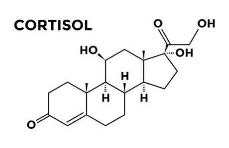 Reduces cortisol levels