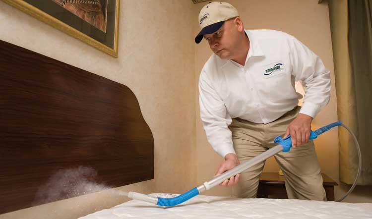 The Ultimate Guide to Finding the Right Bed Bug Exterminator